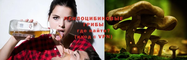 дурь Зерноград