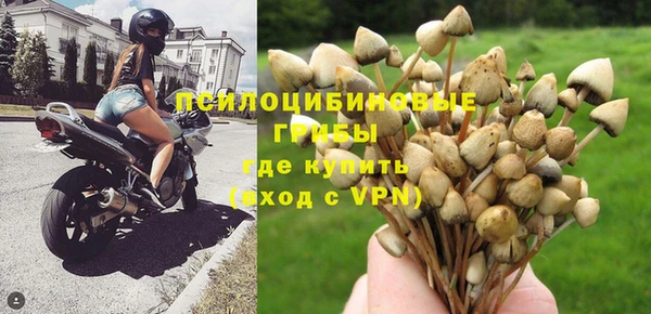 Альфа ПВП Зеленокумск