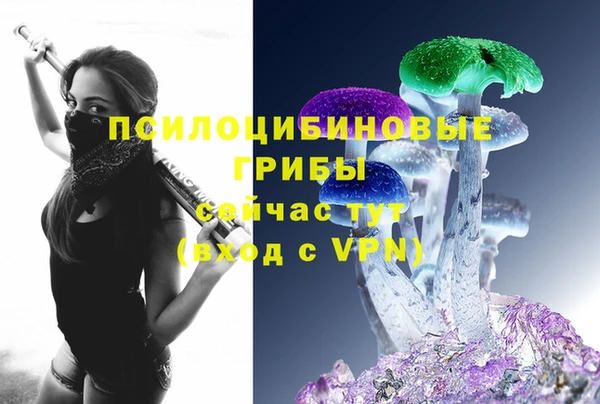 Альфа ПВП Зеленокумск